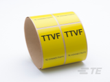 TTVF300YW-100图片3