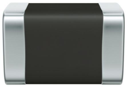 B72510E0250K062图片2