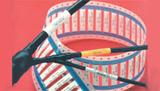 TMS-SCE-1K-1-1/2-2.0-4图片4