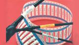 TMS-SCE-1K-1-1/2-2.0-4图片2