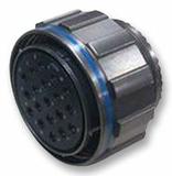 P4CE10F17C6N中文资料