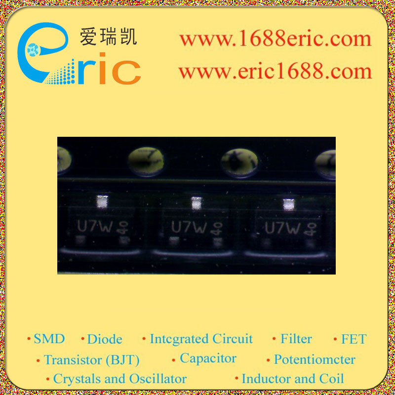 BSR13图片10