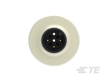 T4111002031-000图片5