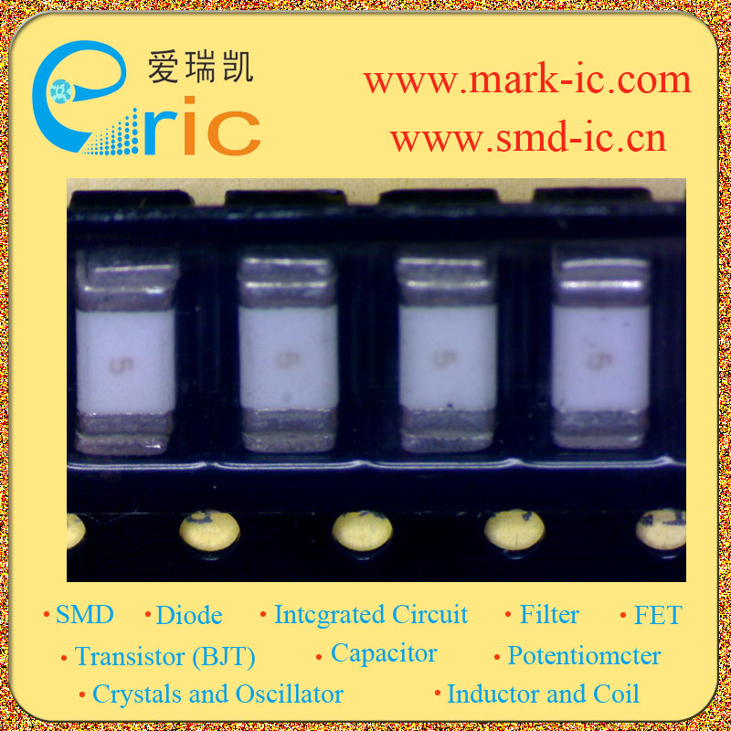 TR1/6125TD5-R图片10