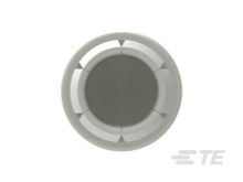T2050002025-000图片5