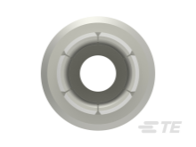 T2060002025-000图片5