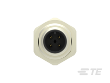 T4171010004-001图片2