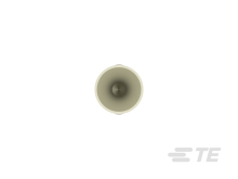 T2020001015-000图片5