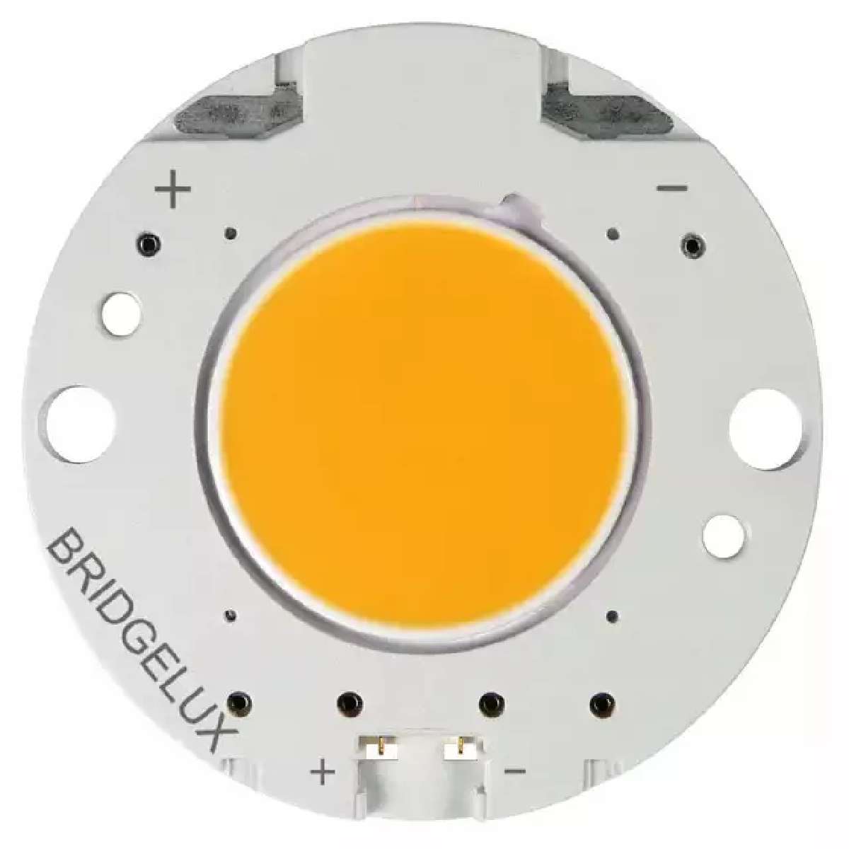 BXRC-40A2001-C-23图片5