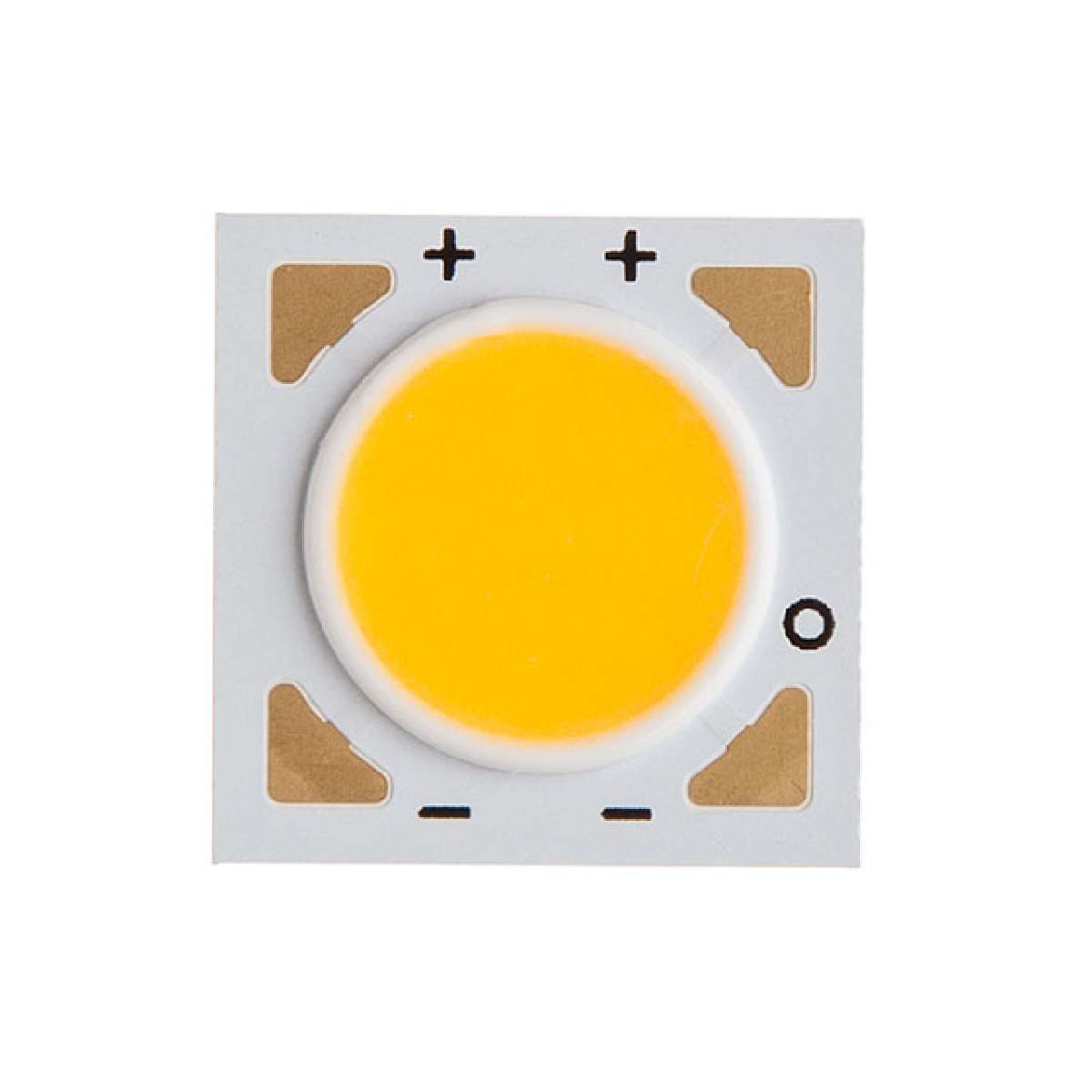 BXRE-30G0500-A-03图片7