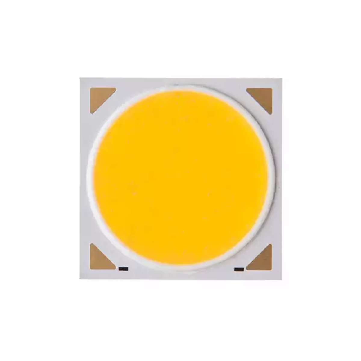 BXRE-35E0800-B-23图片6