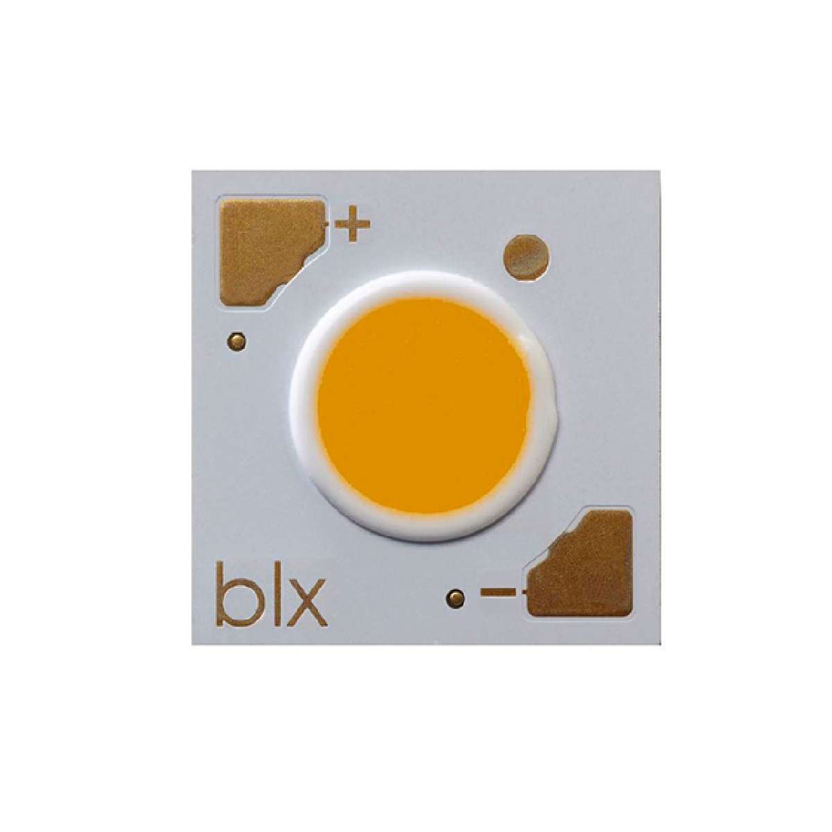 BXRH-40E3000-D-23图片4