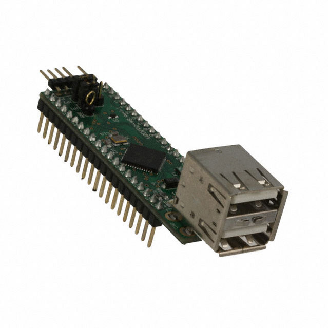 V2DIP2-48图片11