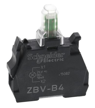 ZBVB4图片3