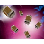 06031A100M4T2A图片2