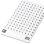 0804183:0031图片5