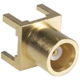 133-3701-211图片2