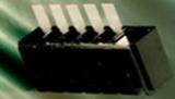 146800-1图片3