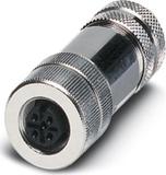 1508365图片4