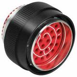 BACC45FS22-12S8图片2