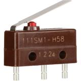 111SM1-H58图片3