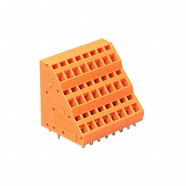 1764960000图片5