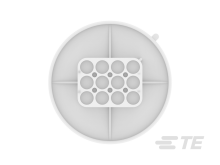 1586854-1图片4