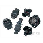 P4CE10F17C6N中文资料