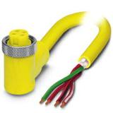 1533107图片2