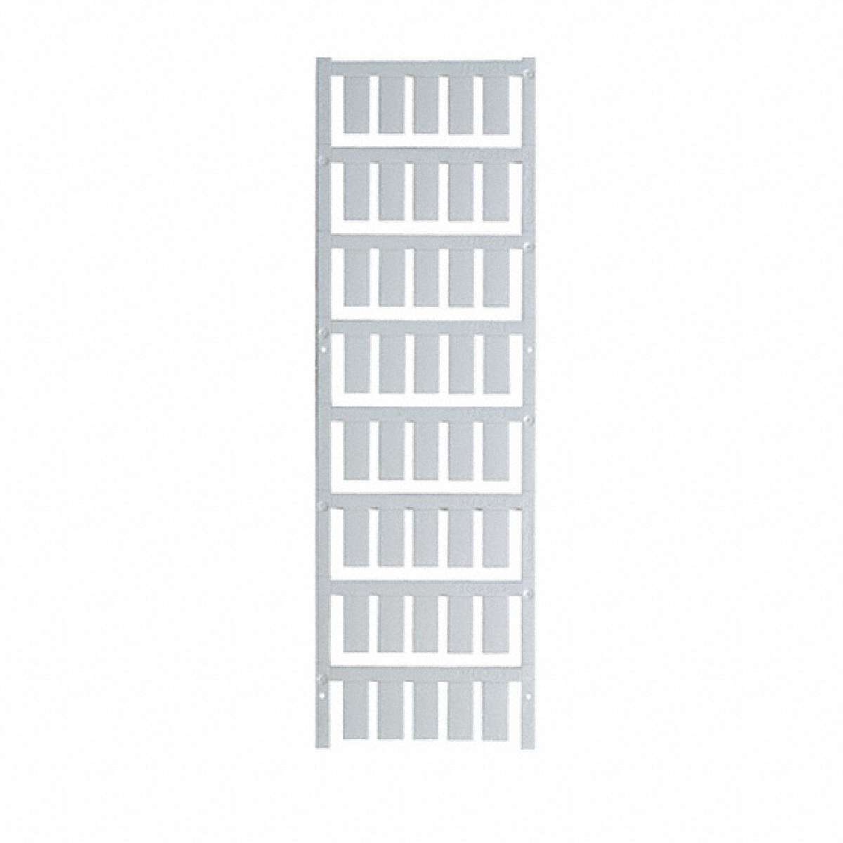 1770500000图片3
