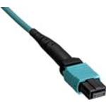 P4CE10F17C6N中文资料