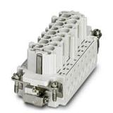 1648241图片2