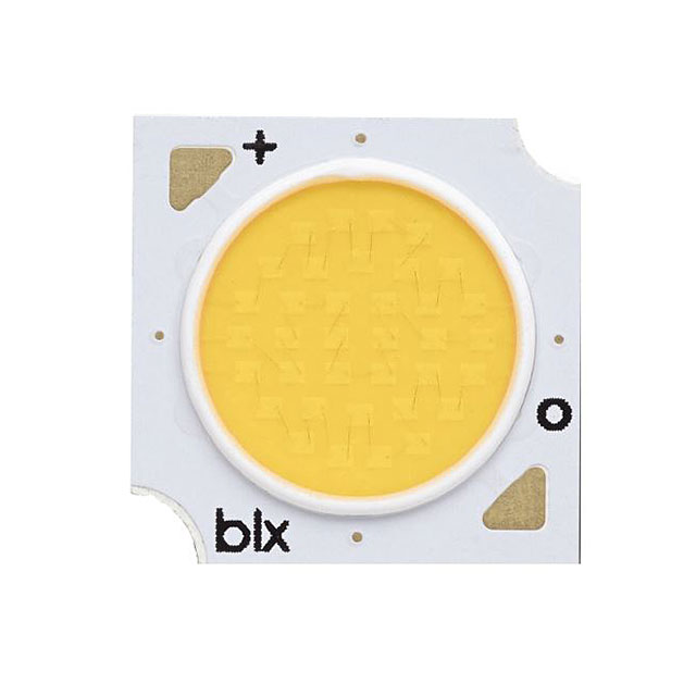 BXRE-30G1000-C-73图片2