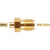 132257图片6