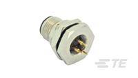 P4CE10F17C6N中文资料