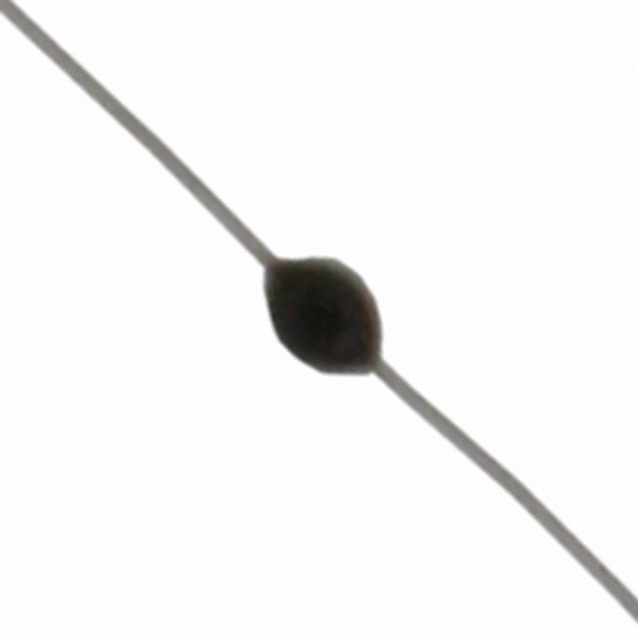 111-202CAK-H02图片6