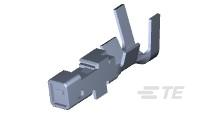1827571-2图片12