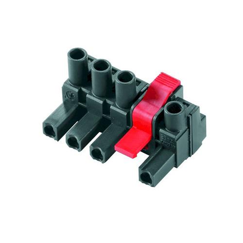 1173520000图片1