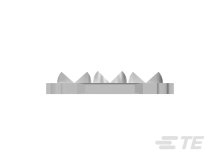 136557-2图片2