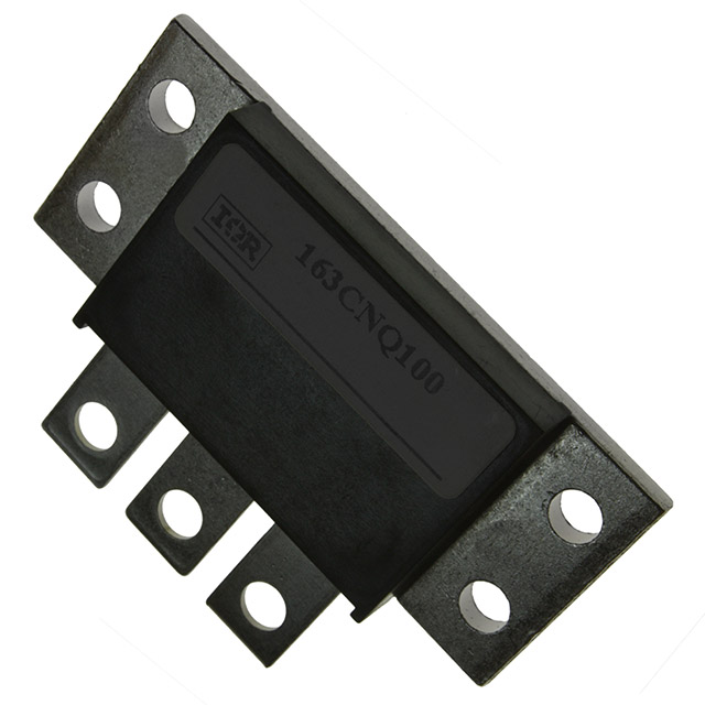 163CNQ100图片3