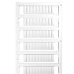 1609870000图片2