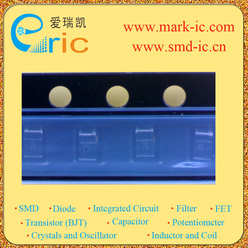 P4CE10F17C6N中文资料