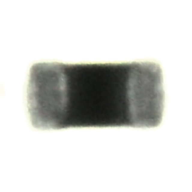 250R05L101GV4T图片3