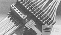 281708-2图片1