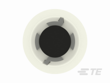 293412-1图片4