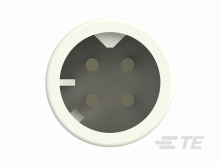 293412-1图片5