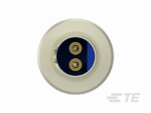 225687-2图片5