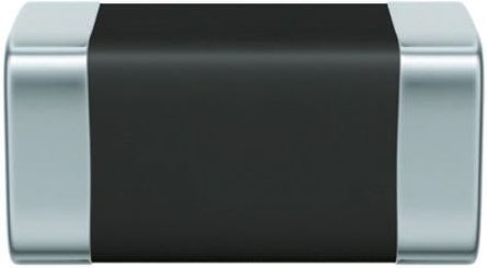 B72530T250K62图片1