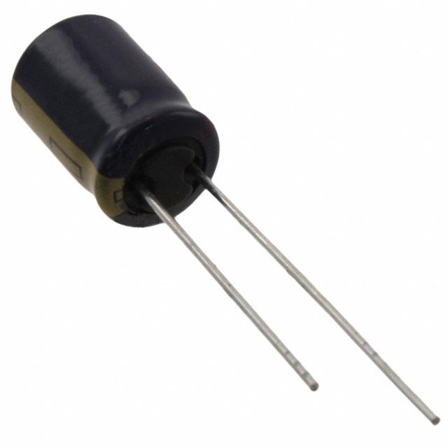 EEU-FC1J101LB图片2