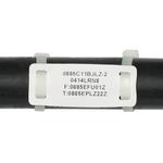 M200X080FQT-B图片1